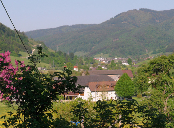 Ferienhof Riegler