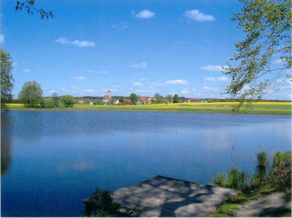 Brettenweiher im Sommer