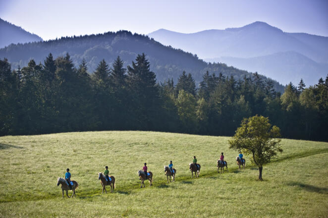 Reiterhof Krenn - Edtbauer