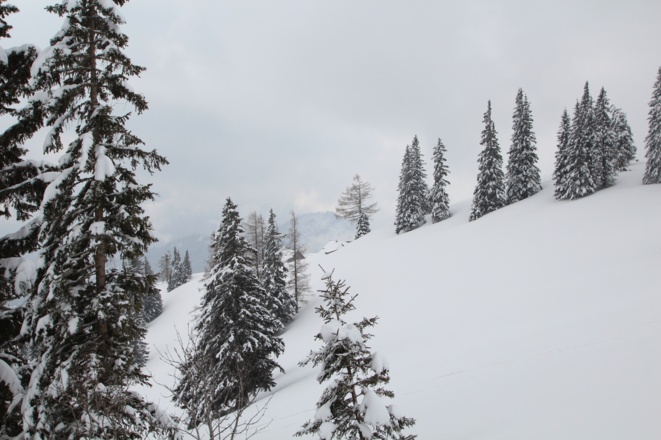 Aufstieg oberhalb der Ahornalm