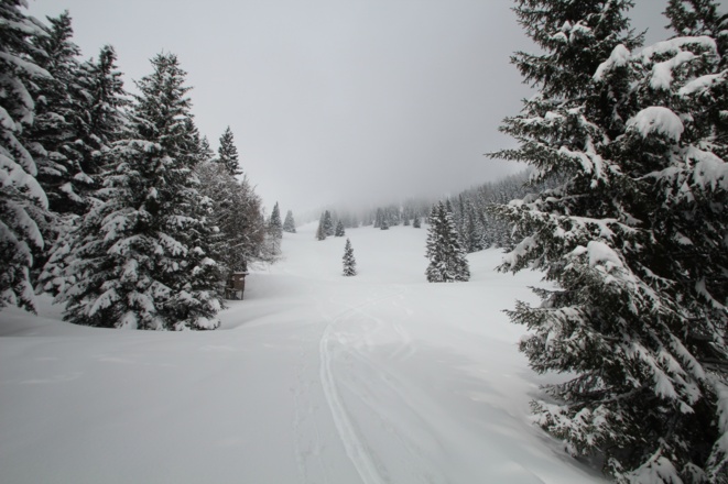 Am unteren Ende der Schwalbenmauer
