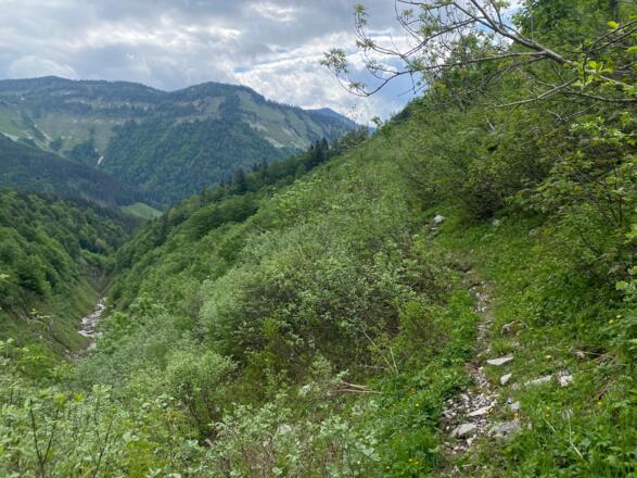 Pfarrersteig im Schneidhofgraben, längere "Querung"