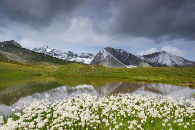 Großglockner und Schwerteck