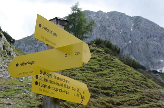 (Fast) alle Wege führen zum Fritzerkogel. Man kann aber auch nur zur Hütte gehen.