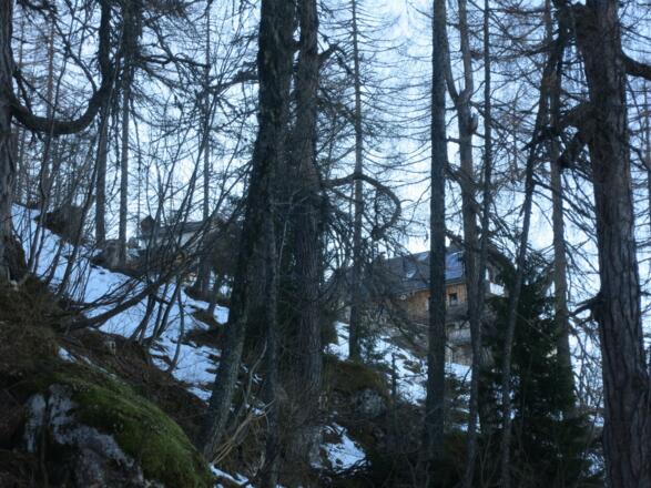 von der Seite zur Zellerhütte