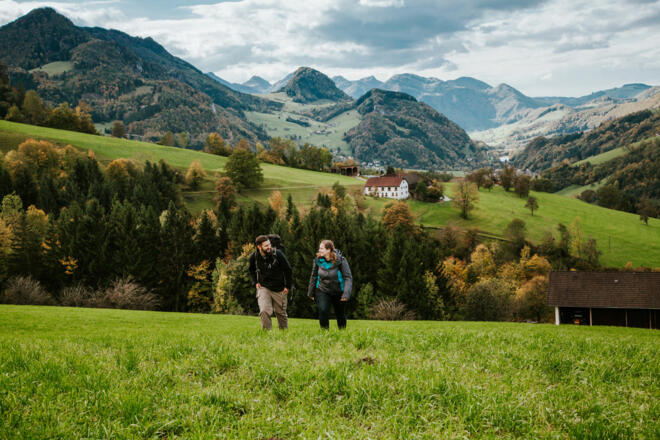 Kräuterhof Miesrigl - Losenstein