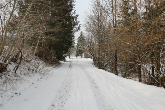 Zu Beginn des Katzentals