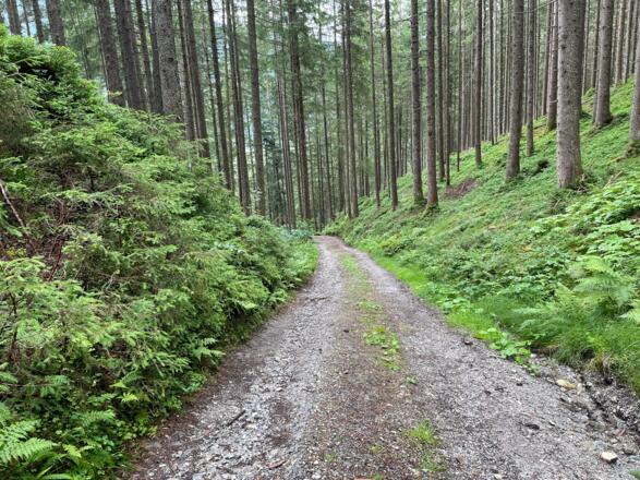 Weg von Steinbach ins Tal.