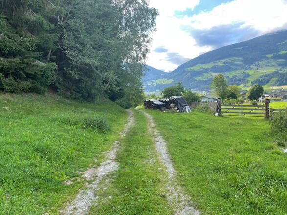Tälerweg am Waldrand entlang