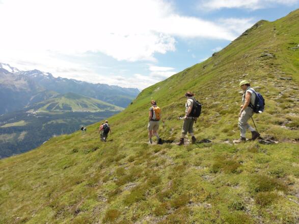 Almgebiet rund um den Gernkogel