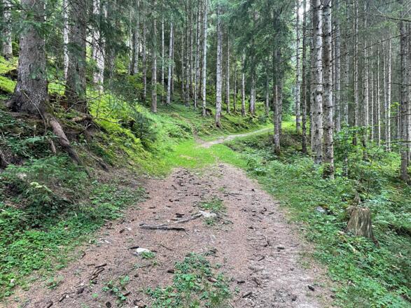 Bergauf auf dem Karrenweg