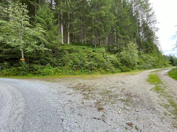 Kehre kurz vor der Abzweigung Karalm/Karsee - Strecke verläuft nach rechts in den flachen Weg.