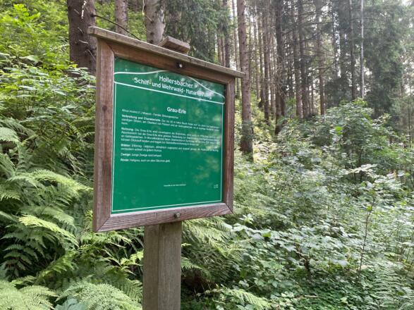 Beschreibungen des Naturlehrweg