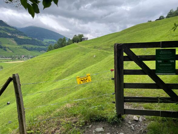 Der Smargadwanderweg führt durch Wald und Wiesen. (bitte Tore immer wieder schließen)
