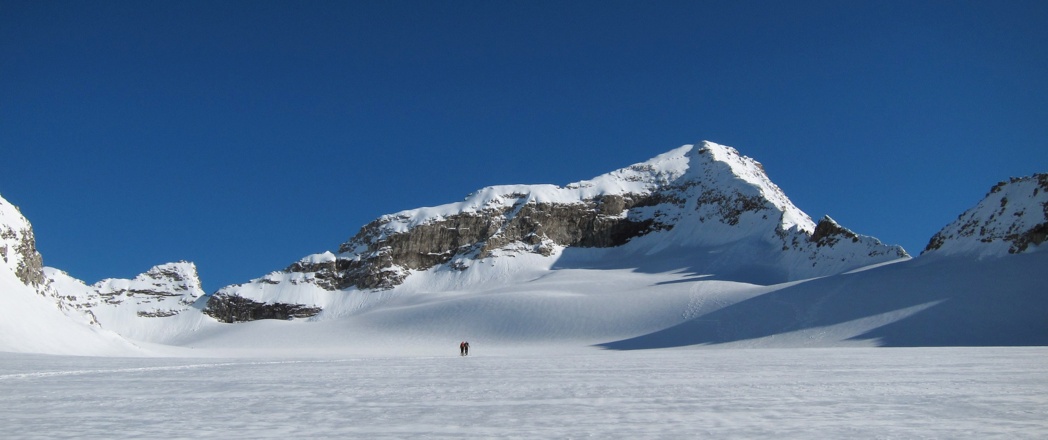 Das flache Stampflkees, im Hintergrund der Gipfelaufbau des Schrammachers.