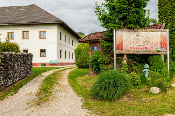 Ferien und Ziegenhof Hebesberger \"Gaferhelm\"