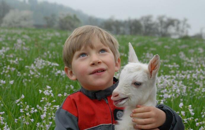 Ferien und Zigenhof Hebesberger \"Gaferhelm\"