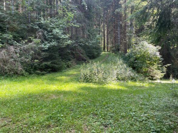 Bergauf auf dem Karrenweg