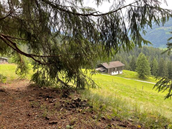 Der Waldweg endet und führt am Rande der Wiese zum Bauernhaus Steinbach.