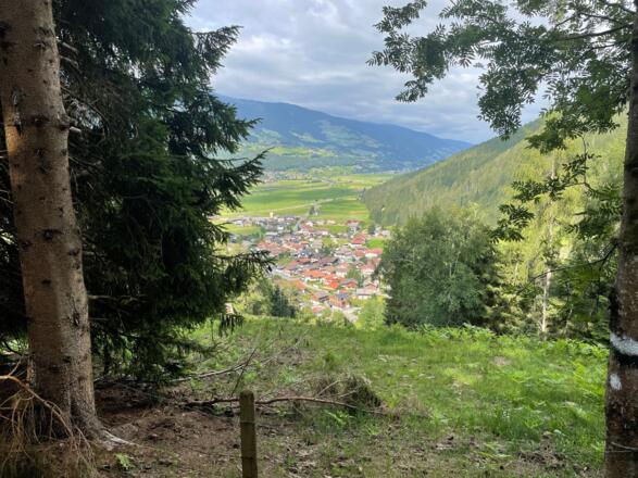 Blick ins Tal nach Hollersbach