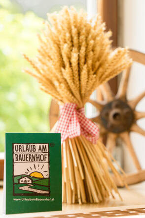 Ferien und Ziegenhof Hebesberger \"Gaferhelm\"