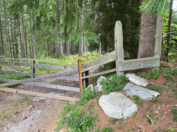 Weg von Steinbach ins Tal.