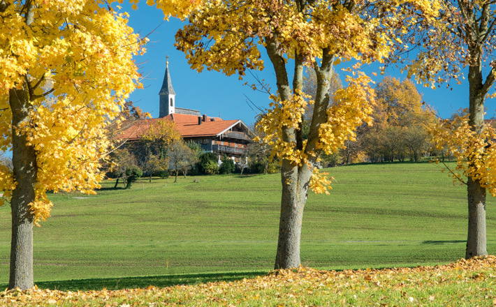 Blick zum Steinhögl