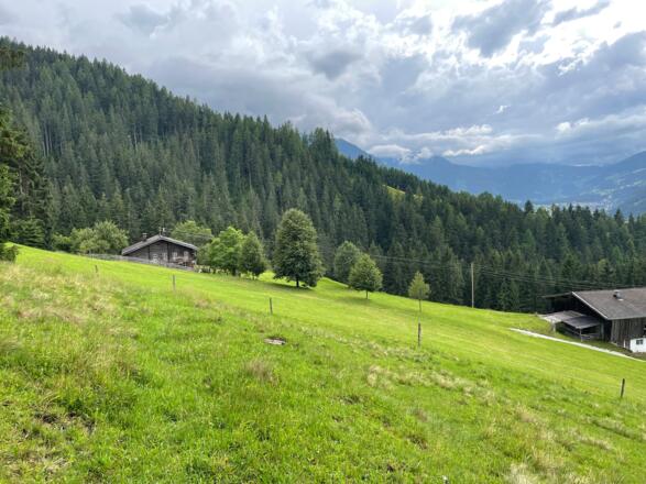 Schöne Ausblicke von Steinbach ins Tal und zum Wildkogel.