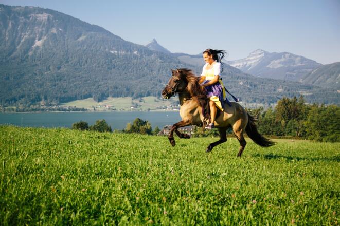 Feriengut Suassbauer