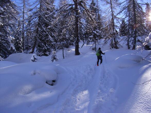 zuerst durch den Wald, immer den Wegweisern "Sandjoch" folgend