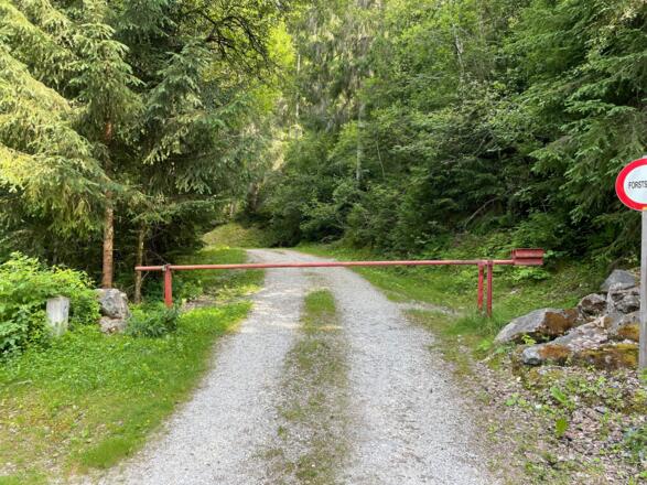 Auf der Forstraße Richtung Hollersbach