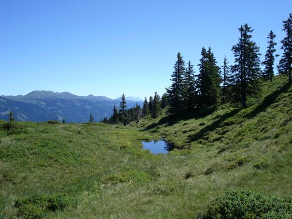 Almgebiet bei der Pölsenalm