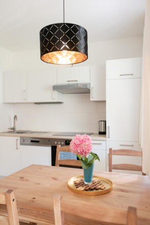 Oberburgau_Top_14_K%c3%bcche Fewo