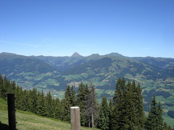 Blick in die Kitzbüheler Alpen mit dem Gr. Rettenstein