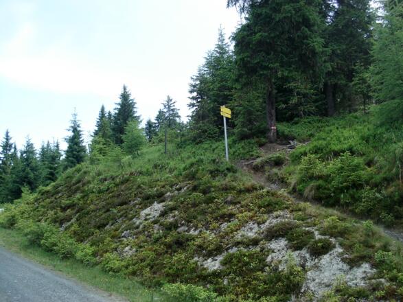 Wegweiger zur Pölsenalm