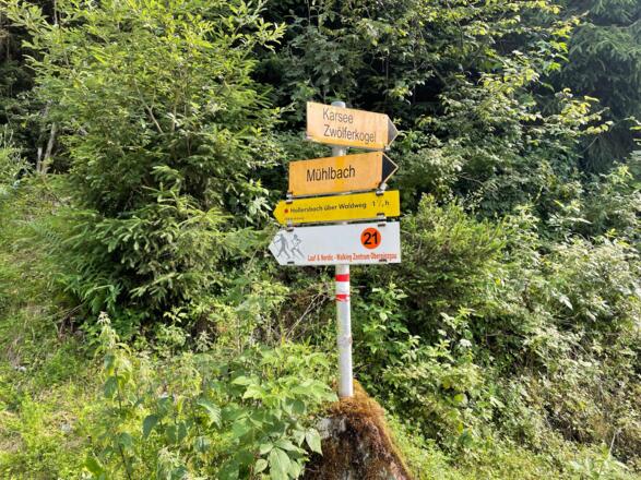 Abzweigung Hollersbach über Waldweg