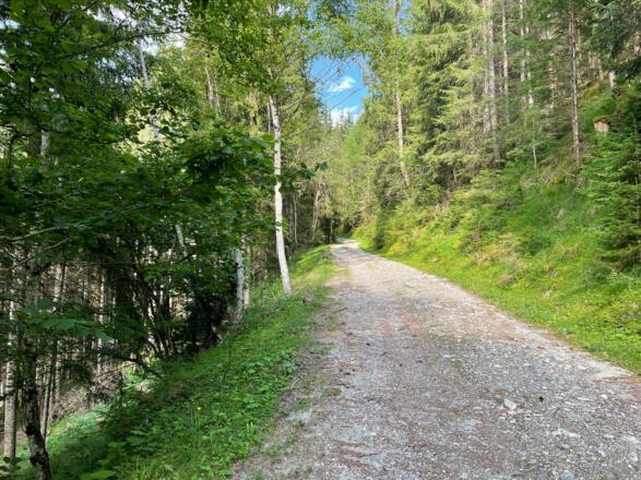 Waldweg/Forstraße Richtung Hollersbach