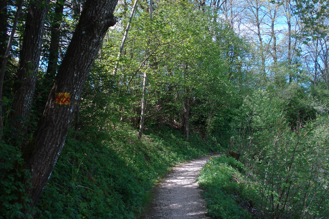 Das Markierungszeichen SalzAlpenWeg