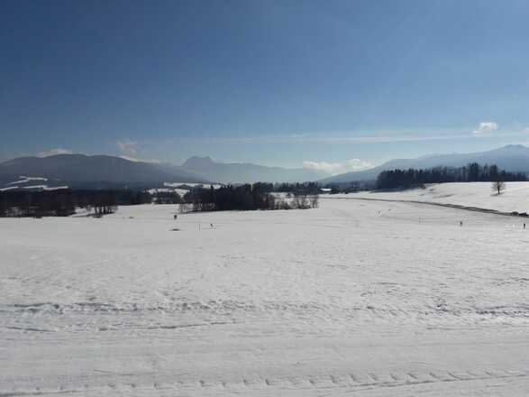 Toni Angerer Loipe Siegsdorf 