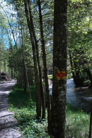Wandern an kleinen Bächen