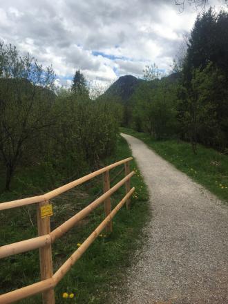 Die Markierung SalzAlpenWeg