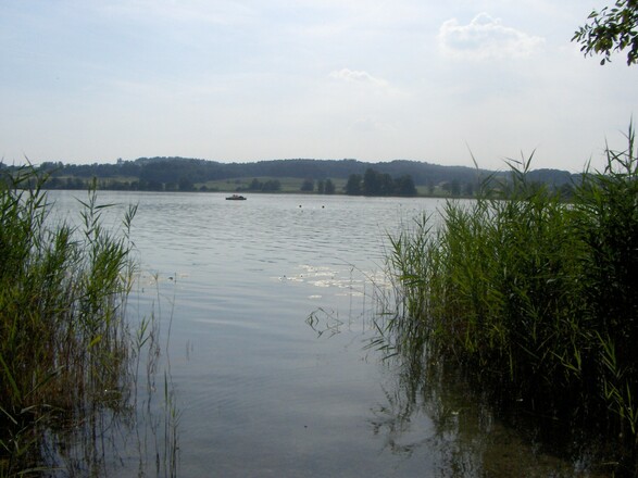 Am Waginger See.