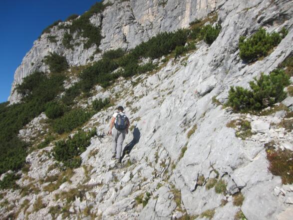 ... wechseln in kurzer Abfolge.