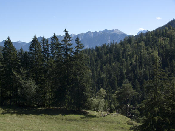 Beim Abstieg - ein letzter Blick zur Soierngruppe