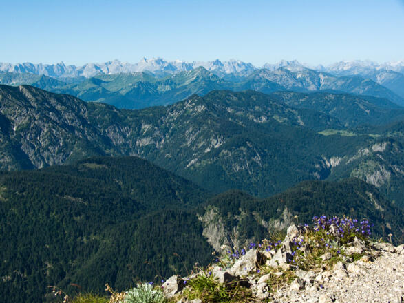Gipfelblick ins Karwendelgebirge