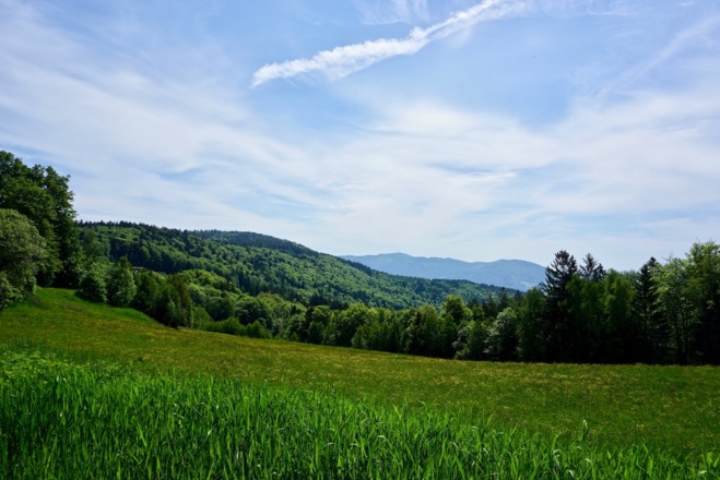 Blick von der Rusel zum Brotjaklriegel