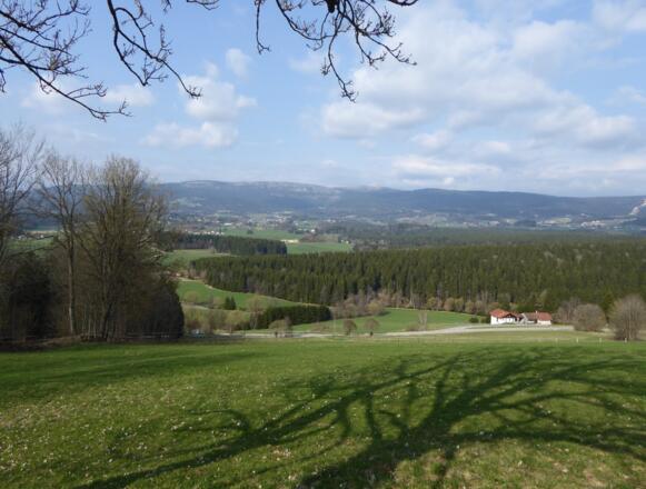Blick zurück auf den Dreisessel