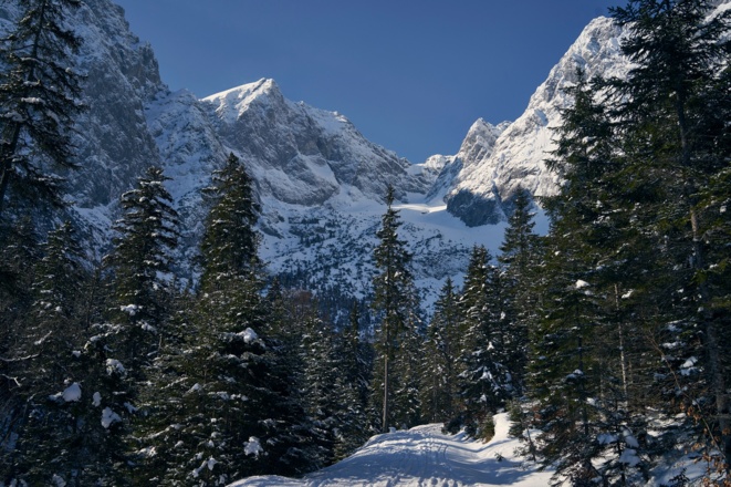 Blick von der Forststraße in Richtung Falkenkar