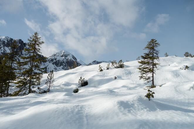 Beginn der Almfläche unterhalb der Tauernkarleitenalm
