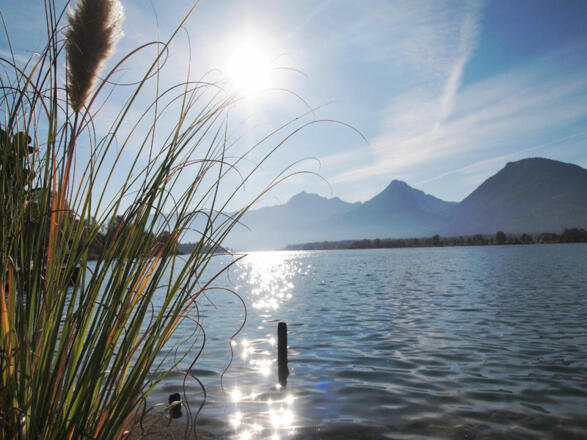 Hotel-Gasthof Falkenstein